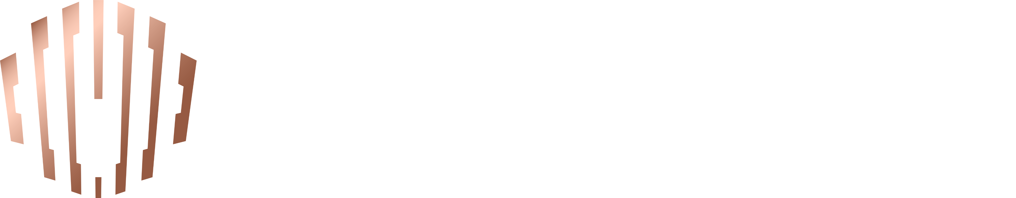 ONbilliard