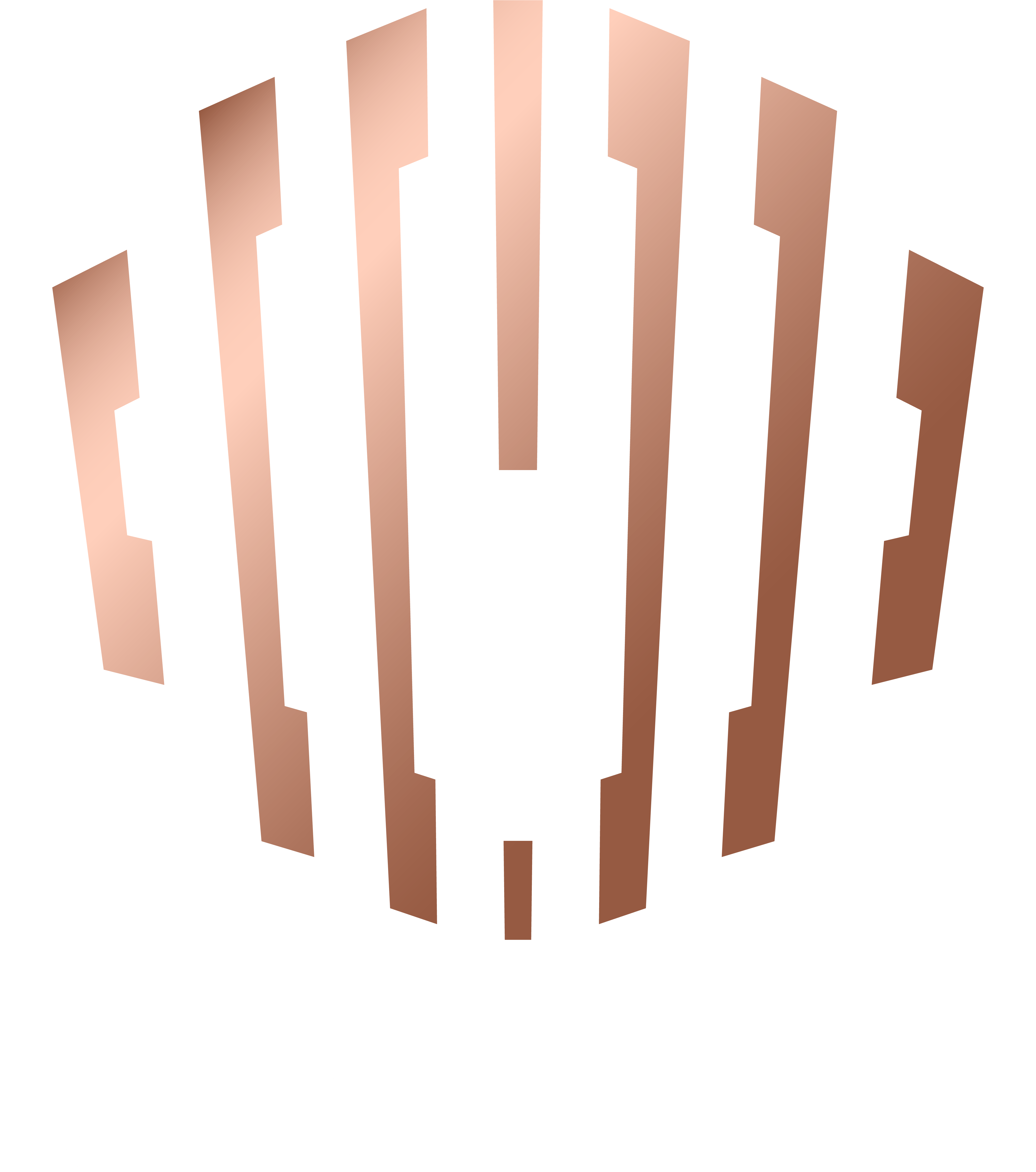 ONbilliard